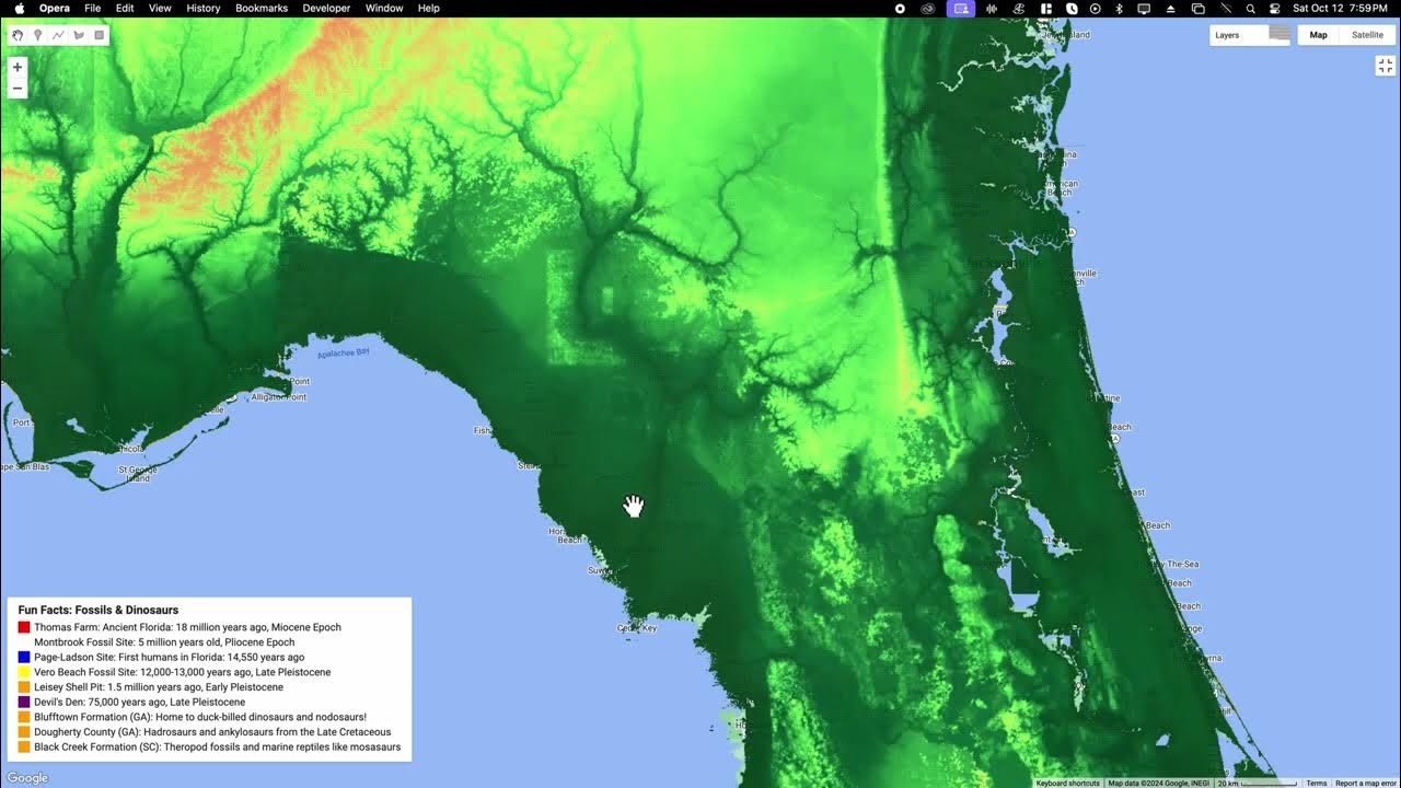 Florida Fossils and First Humans YouTube