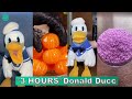 *3 HOURS* Donald Ducc TikTok Compilations 2024 | Best Donald Ducc TikTok Videos
