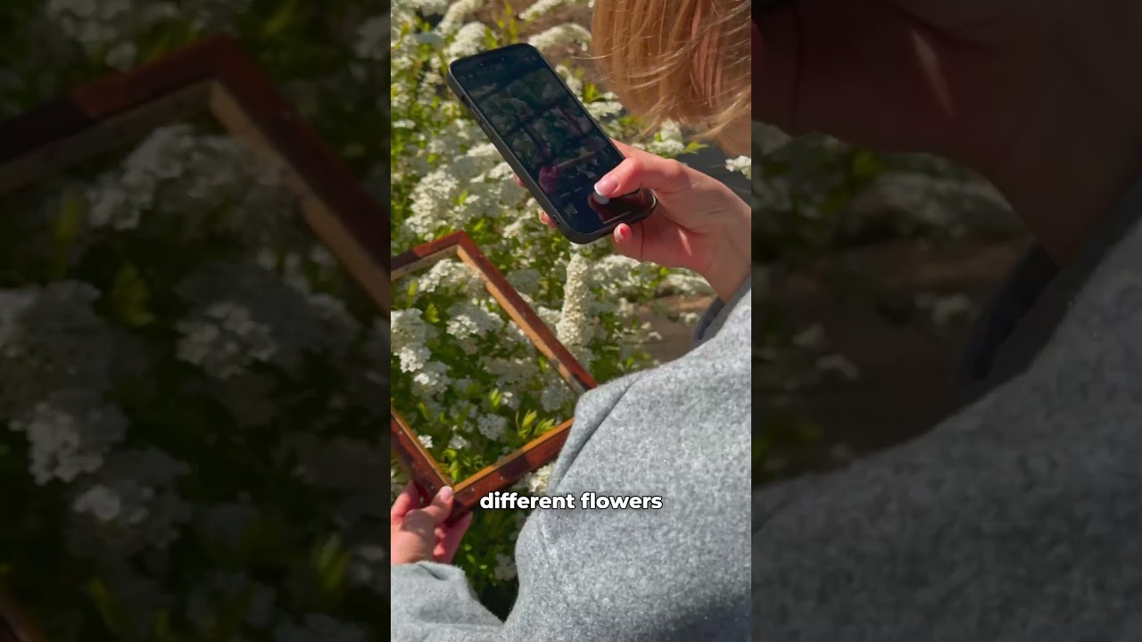 Aesthetic Spring Idea 🤳💐 