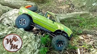 Sam Lewis Scale Comp - July 2021