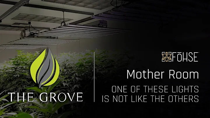The Grove Nevada Mom Room | Fohse F1V Grow Lights
