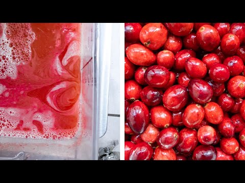 cold-pressed-cranberry-juice-recipe
