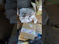 $247 in ONE Day? What Sold on eBay Today!
