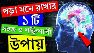 পড়া মনে রাখার সহজ উপায় | Remember What You Read | How to Study Effectively | 1 Secret Study Tips