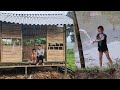 Finishing the house, preparing the land for a vegetable garden, single mother