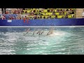 Art &amp; Swim, Комбинированная группа, 12 лет и моложе, Чемпионат Узбекистана 2021