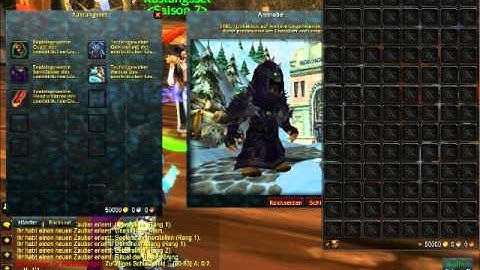 wow private fun server instant 80 bronx.-wow