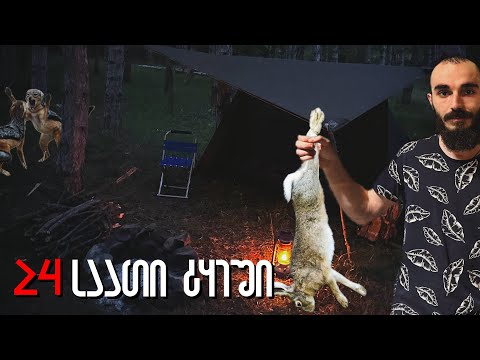 24 საათიანი ლაშქრობა ტყეში - კურდღელი კოცონზე და ტურების ხროვა