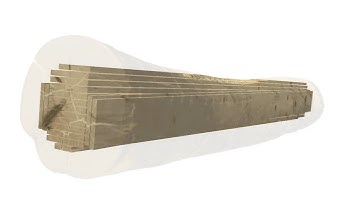 Microtec CT Log Virtual Grading