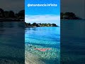 MI VIDA SE LLENA DE NUEVAS OPORTUNIDADES #motivacional #decretoprosperidad #casa #viajeinolvidable