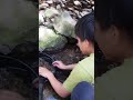 水槽立ち上げ、その後、、、 #アクアリウム #日本淡水魚