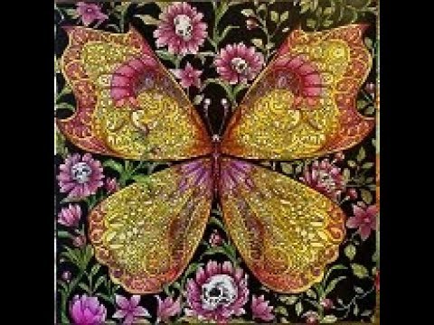Fantomorphia Fantomorphia