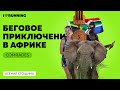 Comrades: беговое приключение в Африке