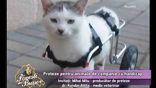 Mihai Mitu si Dr. Kondor Attila de la clinica K2 la Nova TV. - YouTube