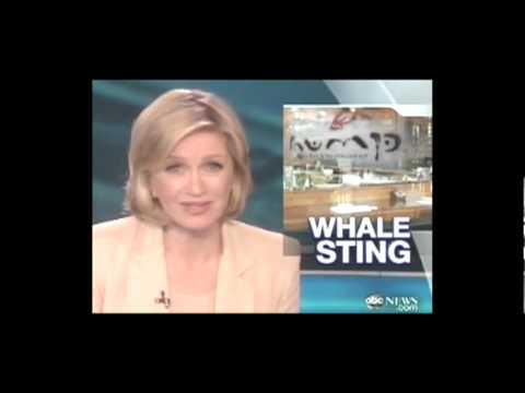 LCA and THE COVE investigates the sale of Whale Meat in Los Angeles - THE HUMP shuts down