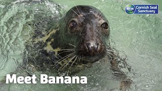 Meet our Summer Superstars: Banana's story