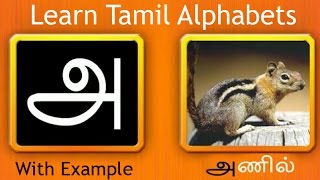 Learn Tamil Alphabets