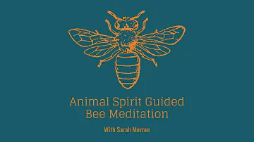 Animal Spirit Guided Bee Meditation | Shamanic Meditation Series