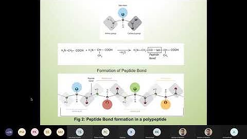 Structural Bioinformatics: Protein Modelling and Applications
