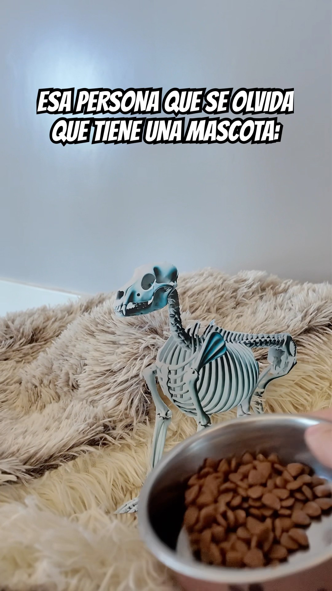 MI PERRITA SE SIENTE MAL