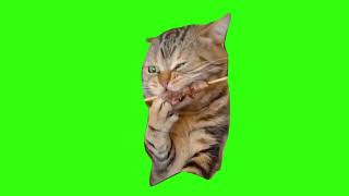 Cat Chewing Loud Meme Green Screen