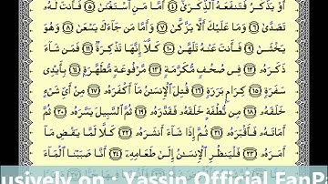 سورة : عبس بصوت القارىء: ياسين فتحى