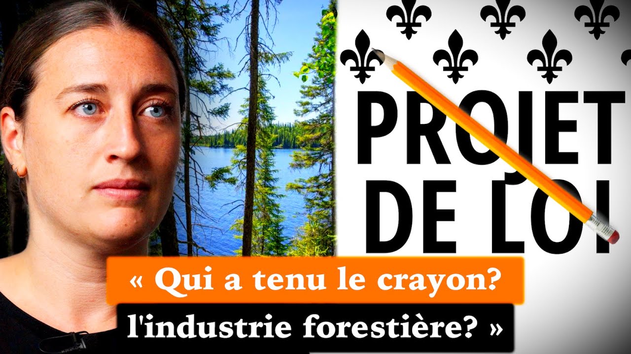 Nos Forêts Québécoises en Danger? Entrevue avec la PDG de Nature Québec
