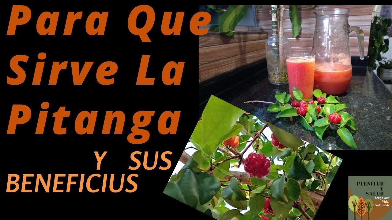para-qu-sirve-la-pitanga-y-sus-beneficio-aprenda-hacer-un-rico-jugo