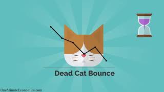 Legitimate Recovery or Dead Cat Bounce (DCB)? Catching a Falling Knife Explained in One Minute