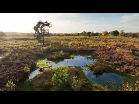 Flug in den Sonnenuntergang im Vennermoor