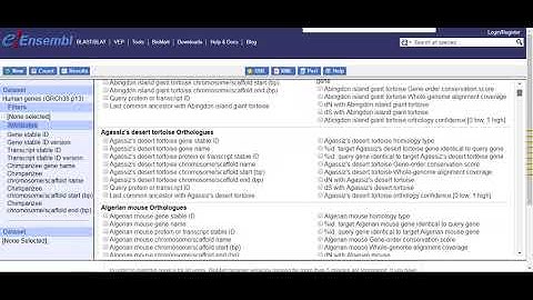 How to view whole genome synteny using BIOMART in ENSEMBL