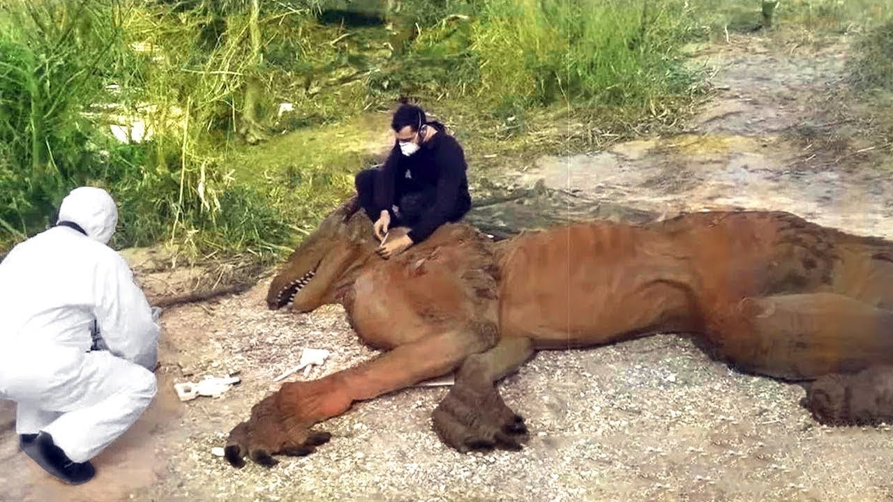 O animal do novo vídeo do cazum: a espécie é um argentinossauro