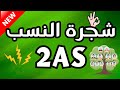 مراجعة علوم لاختبار الفصل الثالث  شجرة النسب شرح بأبسط الطرق   نجومي