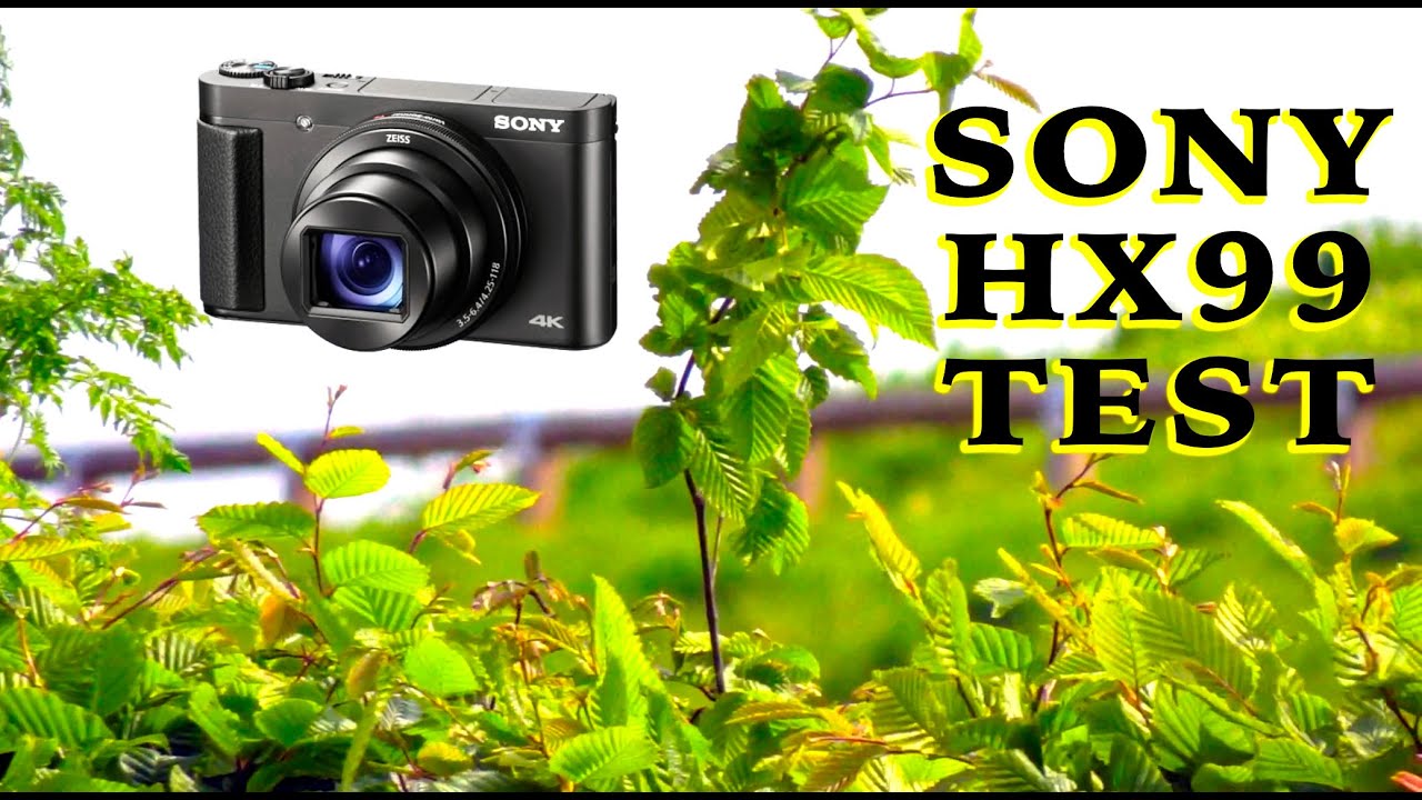 Sony HX99 | Super Zoom Handheld Test (No Talking) 📷 - YouTube