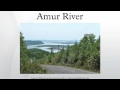 Amur River