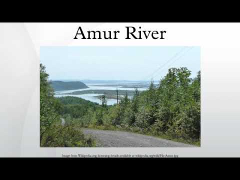 Vídeo: Zeya River. O rio Zeya na região de Amur: peixes e fotos