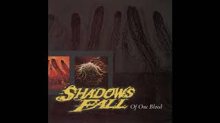 Shadows Fall - Pain Glass Vision (remastered)