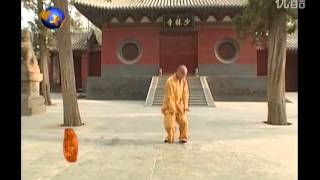 少林心意把Shaolin Xinyiba Stake Skill - YouTube