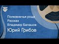 Юрий Грибов. Полковничья роща. Рассказ. Владимир Балашов (1980)