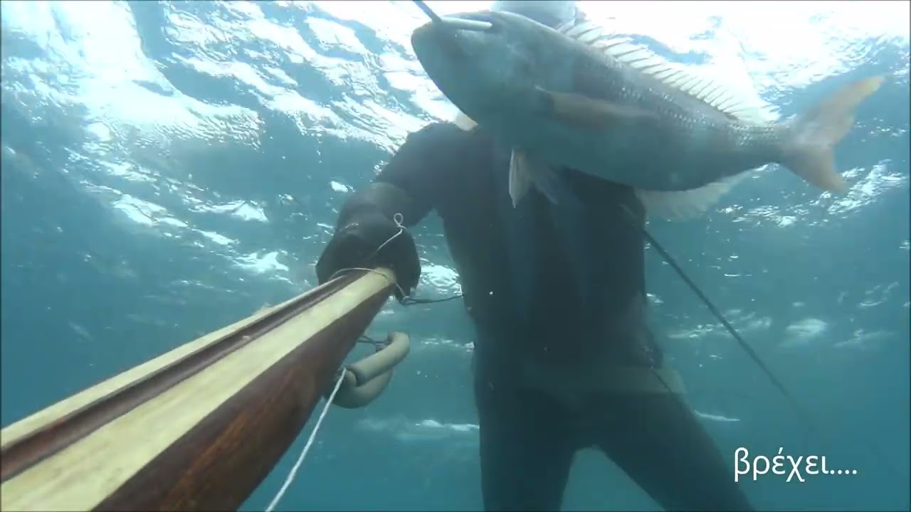 Hitman spearfishing - ΣΥΝΑΓΡΙΔΕΣ ΜΕ ΒΡΟΧΗ*