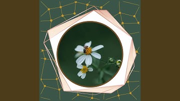 Background for Ice Baths