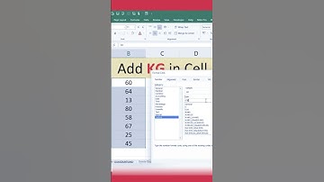 Add KG with NUMBER in Excel cell #shortvideo