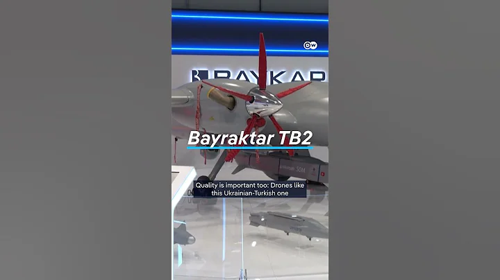 German investment in Ukrainian arms production? | DW News