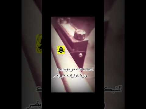 قصيدة شايب اعتزل المقناص