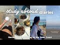 study abroad 🇦🇺 | irgendwo zwischen coffee runs, sunrises, whale watching & happy moments 🌊⭐️