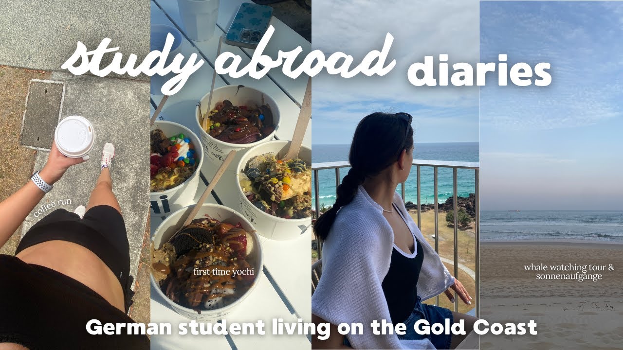 study abroad 🇦🇺 | irgendwo zwischen coffee runs, sunrises, whale watching & happy moments 🌊⭐️