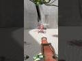 Low HP No Problem Gaming Funny Live Straftat Clutch Low HP No Problem Gaming Funny Live Straftat Clutch