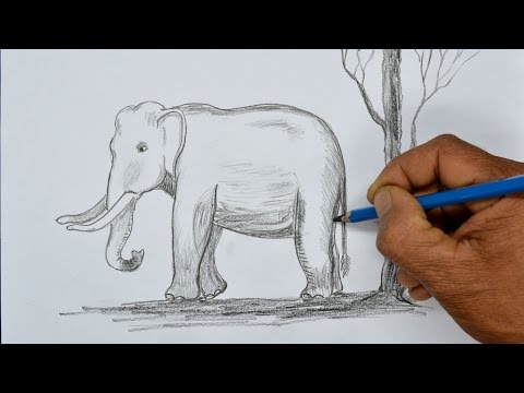 How to Draw an Elephant