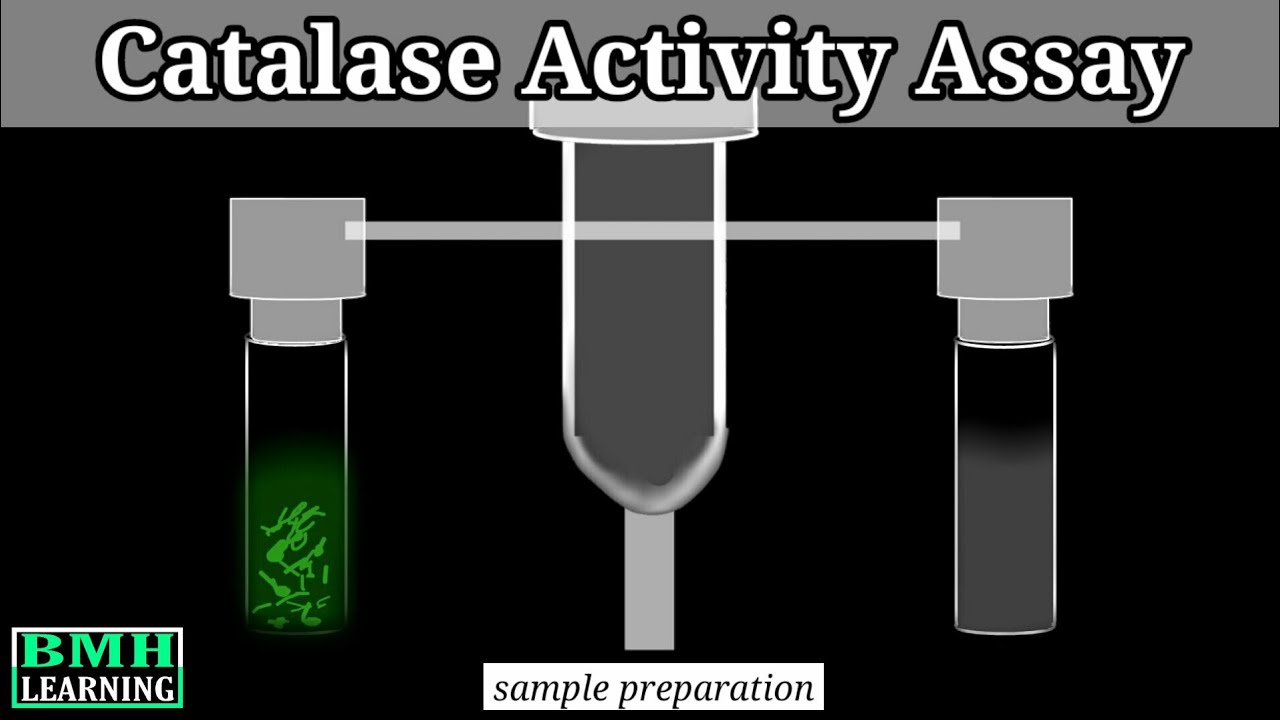 a case study catalase activity quizlet