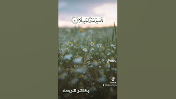 فأصبر صبرًا جميلا..انهم يرونه بعيدا#قران #قران_كريم #quran #تلاوات #تلاوة_خاشعة #حمزه_بوديب